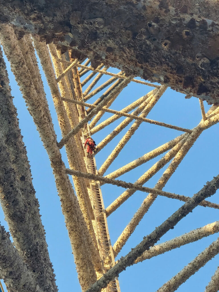 Industrial Rope Access Training